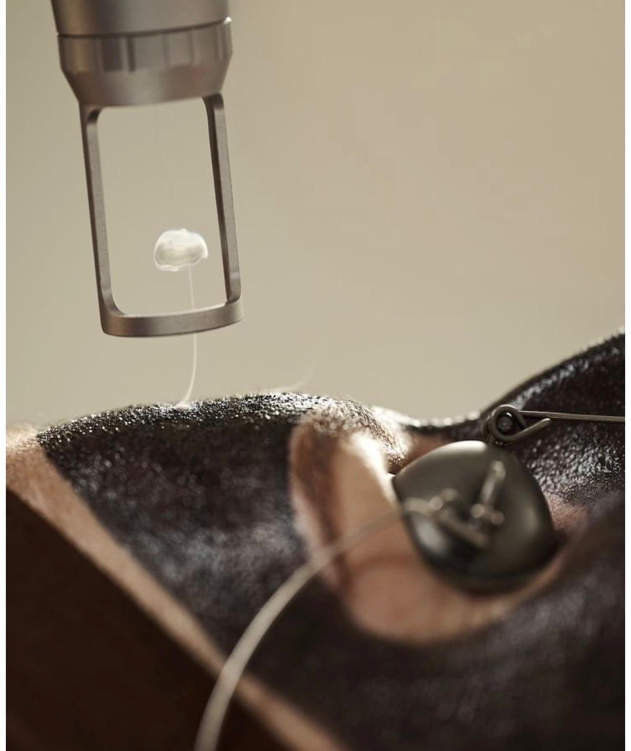 7e351eb4 ab19 4648 ab7a 1489f9632d91